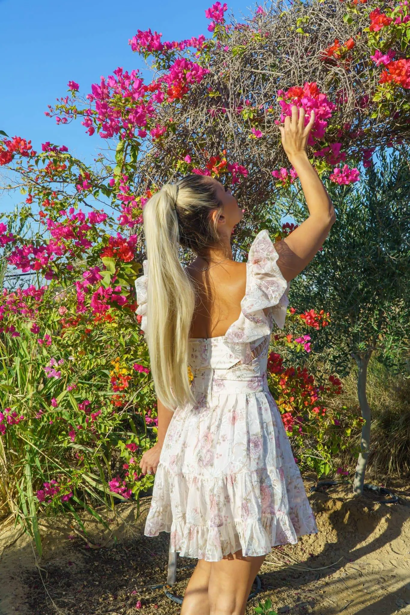 Jodie